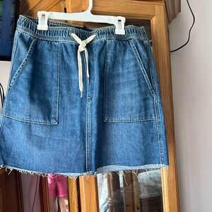 Hudson Mini Skirt
